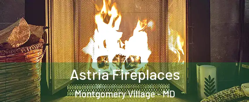  Astria Fireplaces Montgomery Village - MD