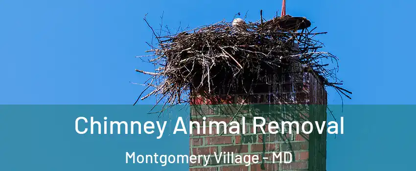 Chimney Animal Removal Montgomery Village - MD