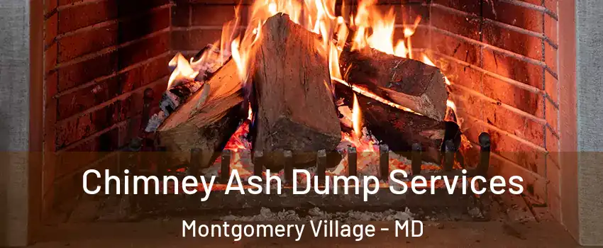  Chimney Ash Dump Services Montgomery Village - MD