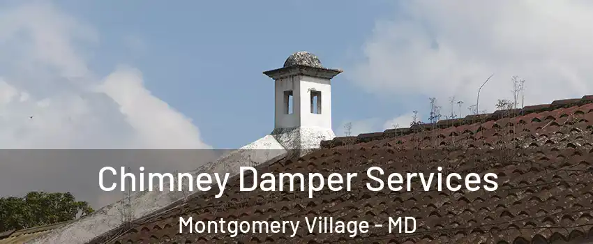  Chimney Damper Services Montgomery Village - MD