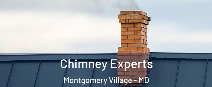 Chimney Experts Montgomery Village - MD