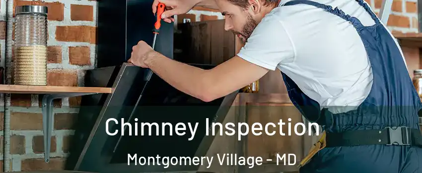  Chimney Inspection Montgomery Village - MD