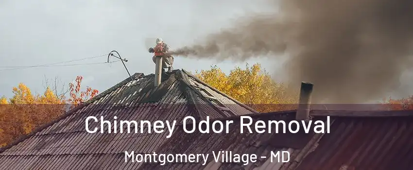  Chimney Odor Removal Montgomery Village - MD