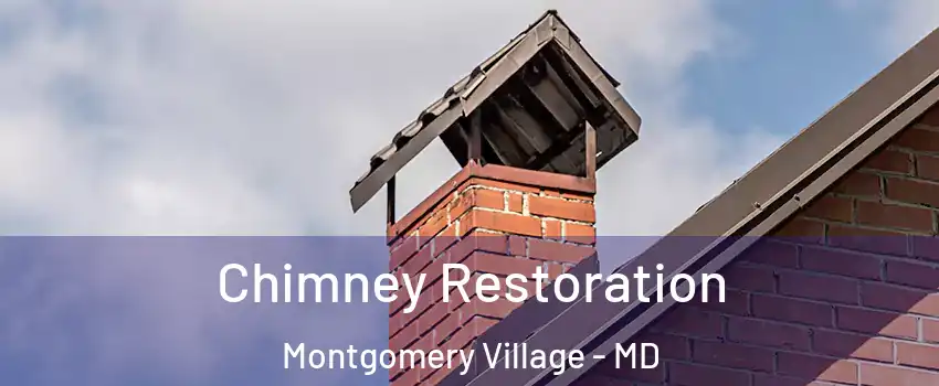 Chimney Restoration Montgomery Village - MD