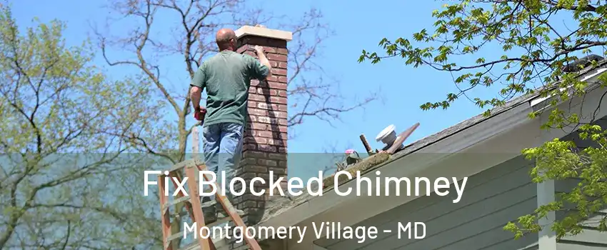  Fix Blocked Chimney Montgomery Village - MD
