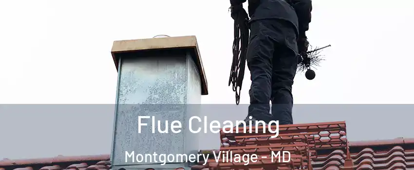  Flue Cleaning Montgomery Village - MD