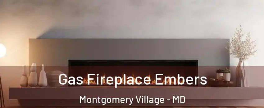  Gas Fireplace Embers Montgomery Village - MD