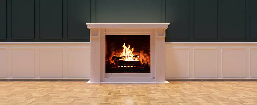 Napoleon Electric Fireplaces Inspection Service in Montgomery Village, Maryland