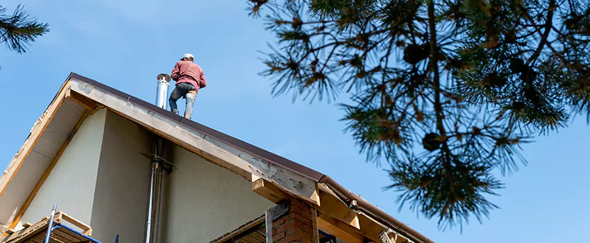 Birds Removal Contractors from Chimney in Montgomery Village, MD