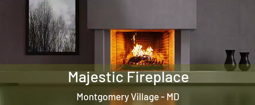  Majestic Fireplace Montgomery Village - MD