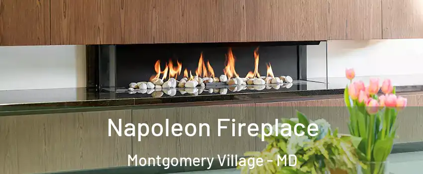  Napoleon Fireplace Montgomery Village - MD