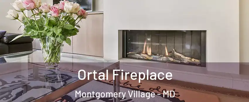 Ortal Fireplace Montgomery Village - MD