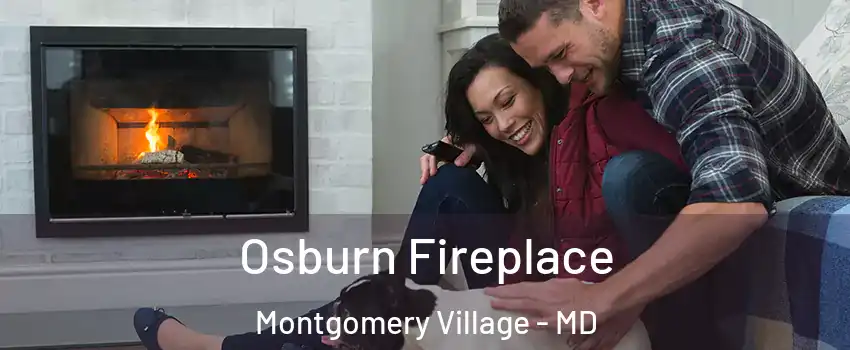  Osburn Fireplace Montgomery Village - MD